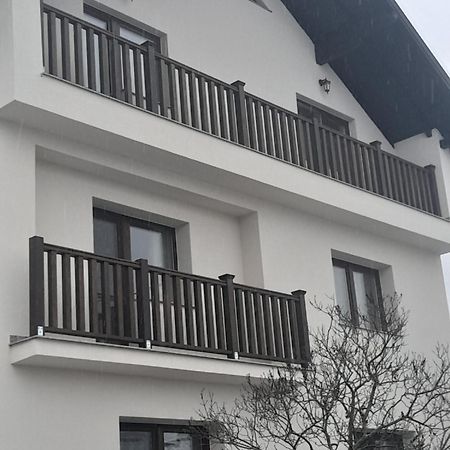 Hotel Casa Carmen Poienile Izei Exterior foto