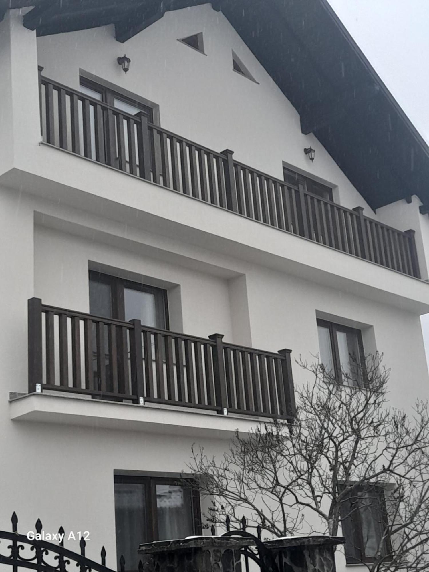Hotel Casa Carmen Poienile Izei Exterior foto